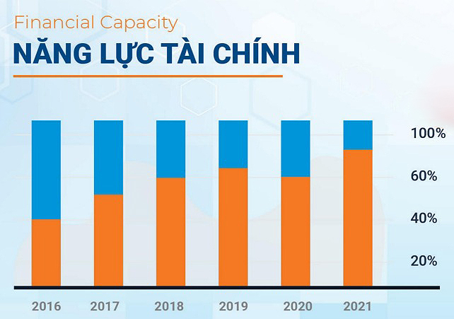 VII. Năng lực tài chính